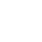 item-icon
