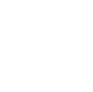 item-icon