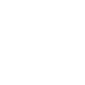 item-icon
