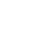 item-icon