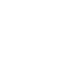 item-icon