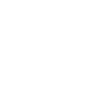 item-icon