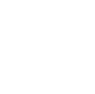 item-icon