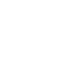 item-icon