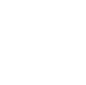 item-icon