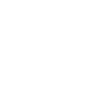 item-icon